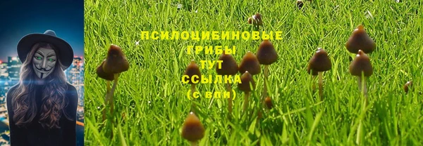 2c-b Коряжма